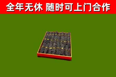 库尔勒回收海参